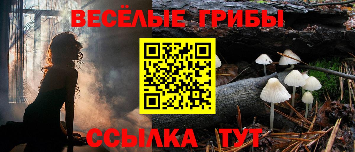 Галлюциногенные грибы прущие грибы Нальчик