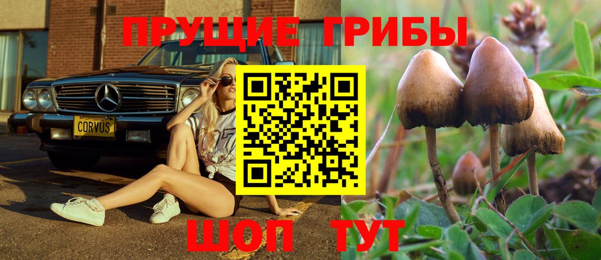 Псилоцибиновые грибы Magic Shrooms  Вход с VPN  цены   Галлюциногенные грибы GOLDEN TEACHER  Нальчик 